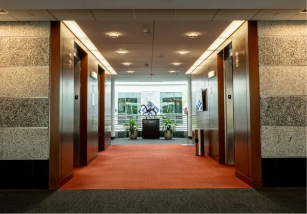 Professionally cleaned corporate carpet in a hallway